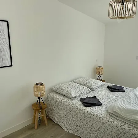 Duplex Vue Océan Première Ligne Parking Et Fibre Appartement Lacanau