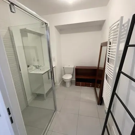 Duplex Vue Océan Première Ligne Parking Et Fibre Appartement Lacanau